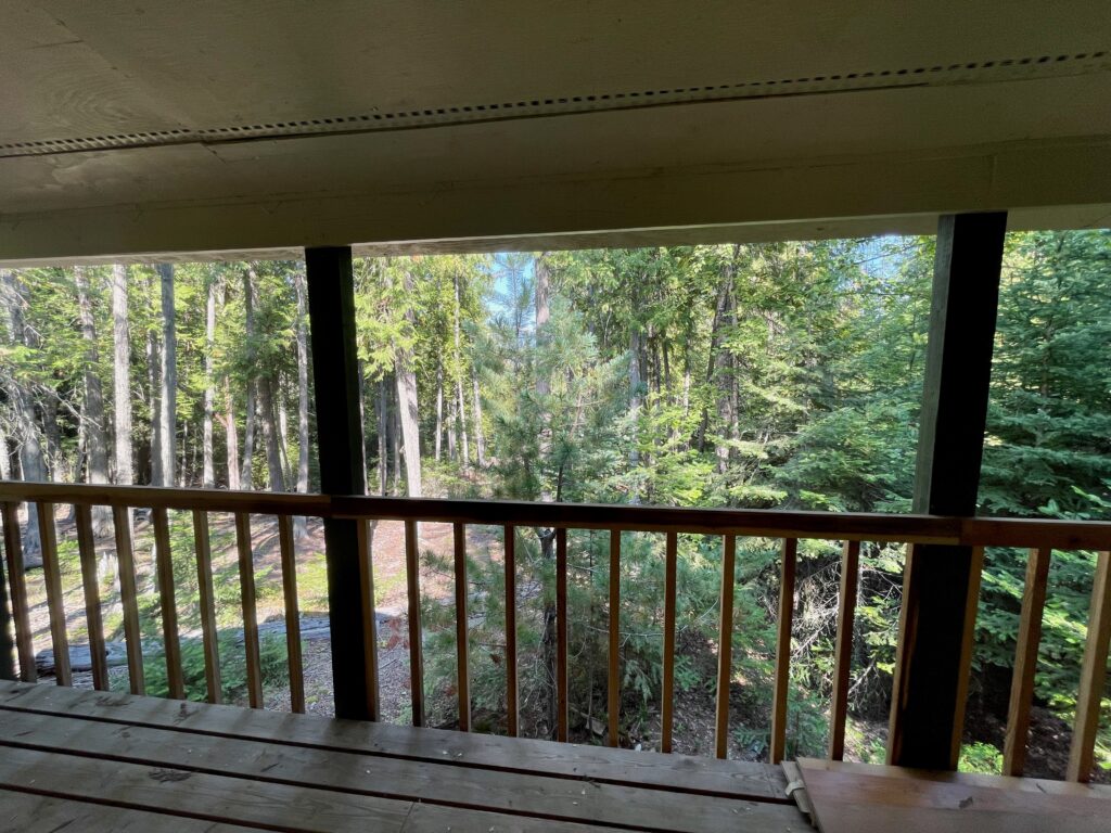 12 view from backdoor cabin img 8883