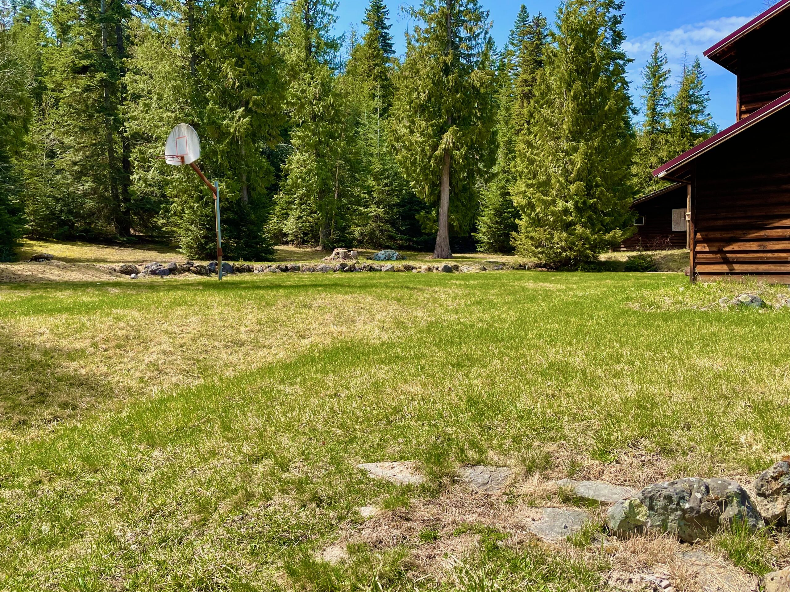 Early spring view of the backyard with rock wall, towering pines and basketball hoop in the foreground. Taken from the circular drive.