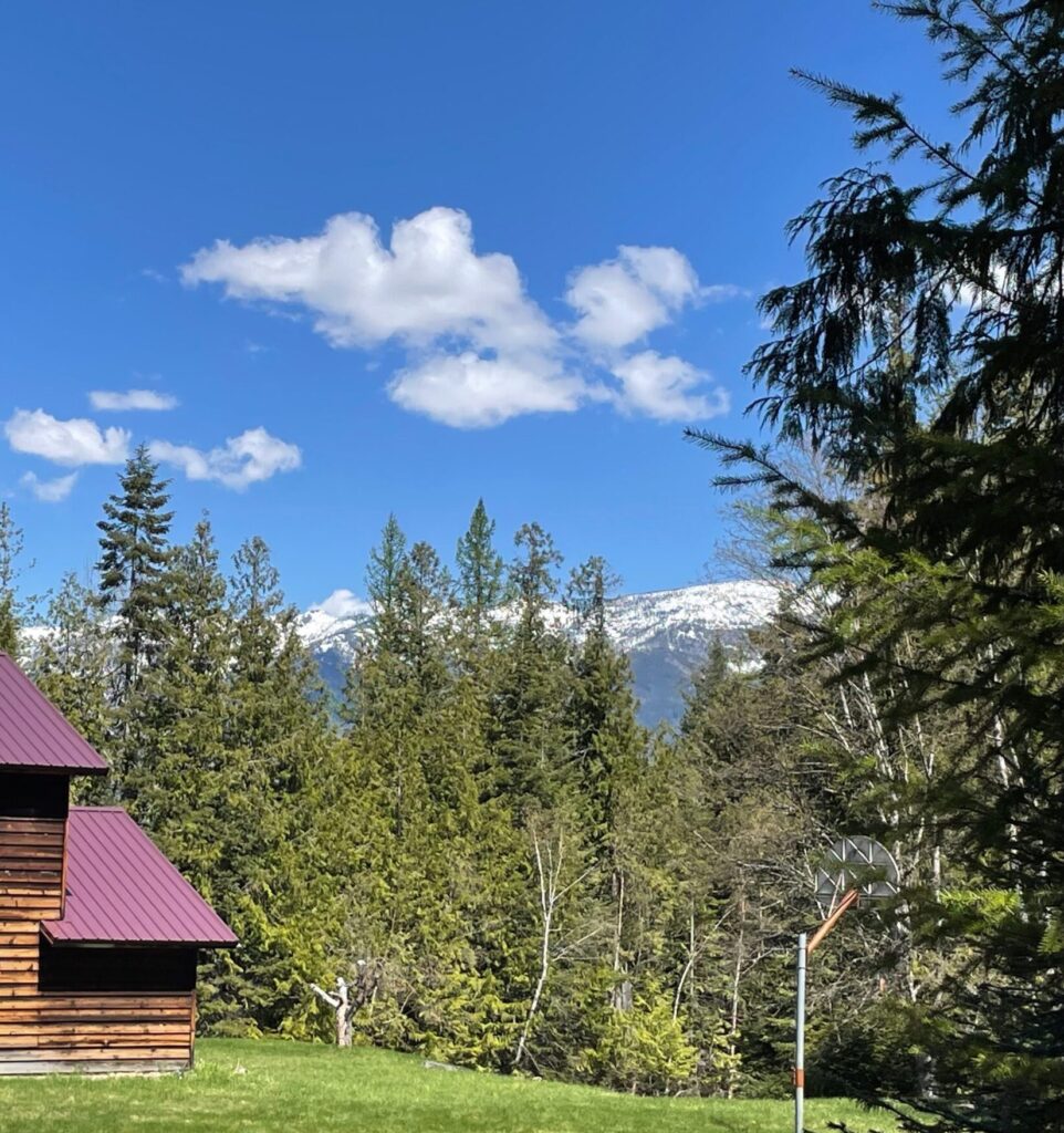great view of the mountains from the backyard