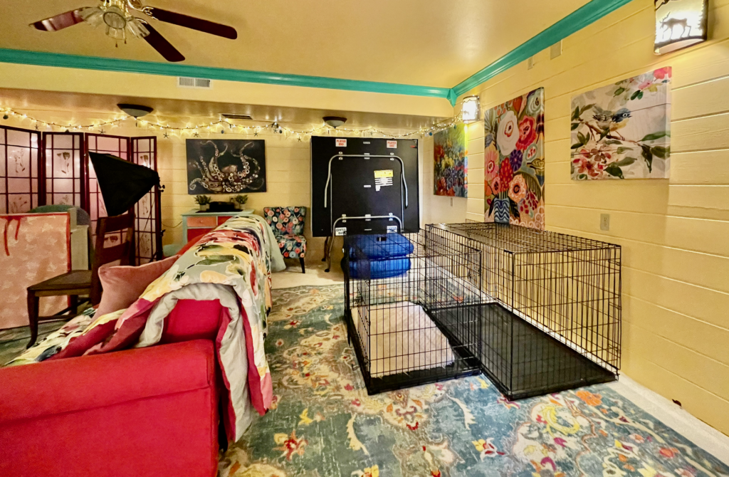 Other half of the large media or recreation room. 