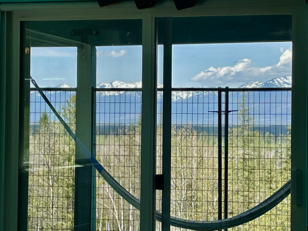 The snow-capped peaks out the sliding doors with a removable fence in the foreground.