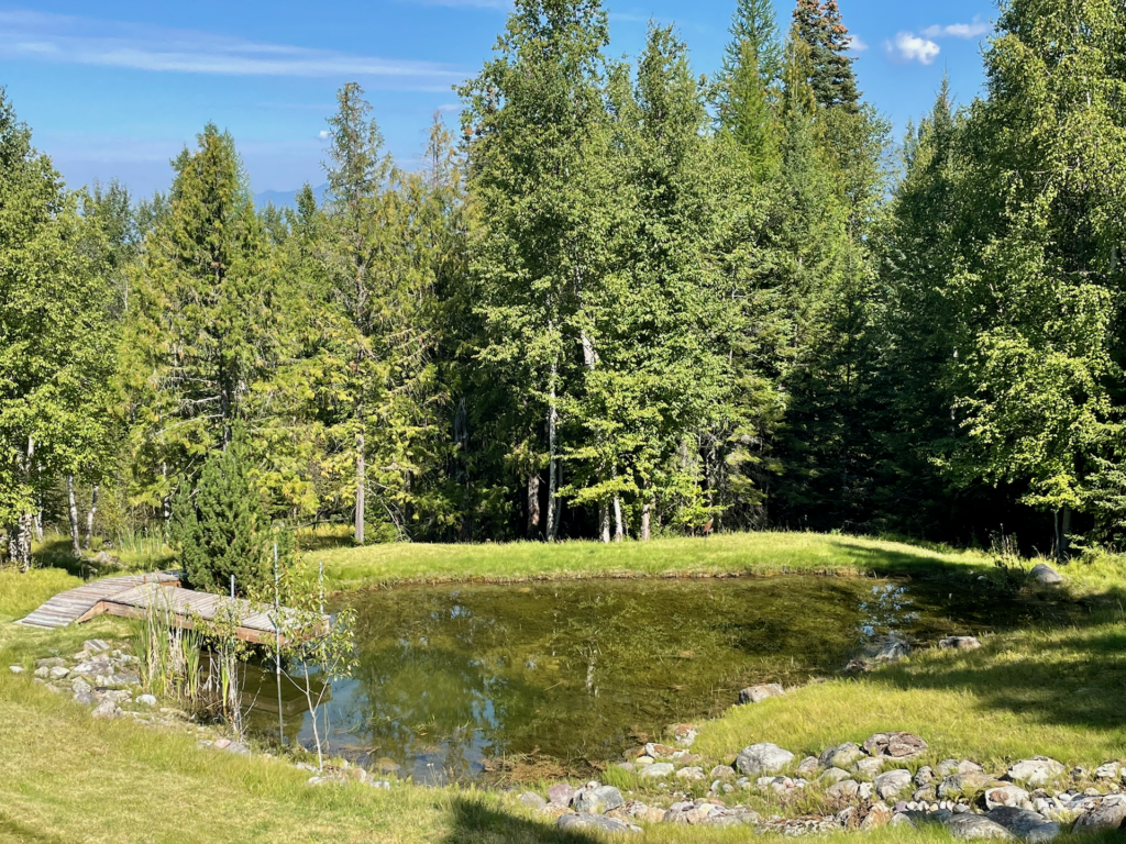The largest of the three spring-fed ponds home to goldfish and a hang out for life of all kind - two and four-legged.