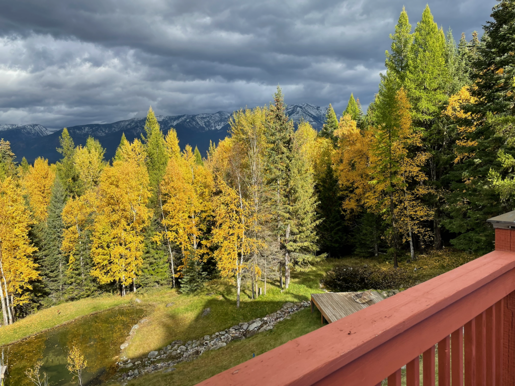 The ponds and the deck by the ponds taken from the master deck in the fall with contrasting golden leaves.