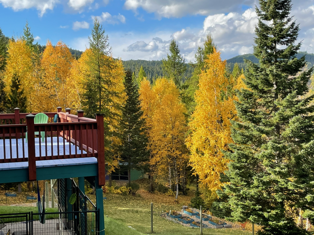 The view from the main deck looking down at the raised beds when fall colors were at their peak.