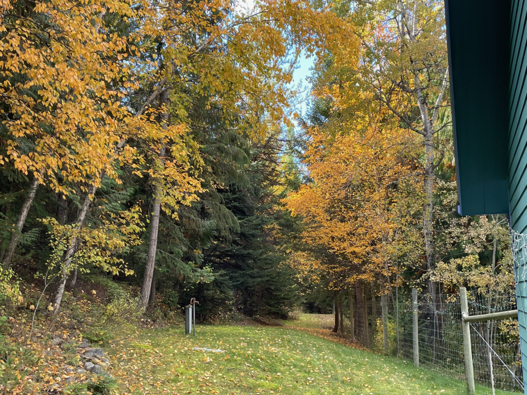 The location of the well along with the golden leaves of fall.