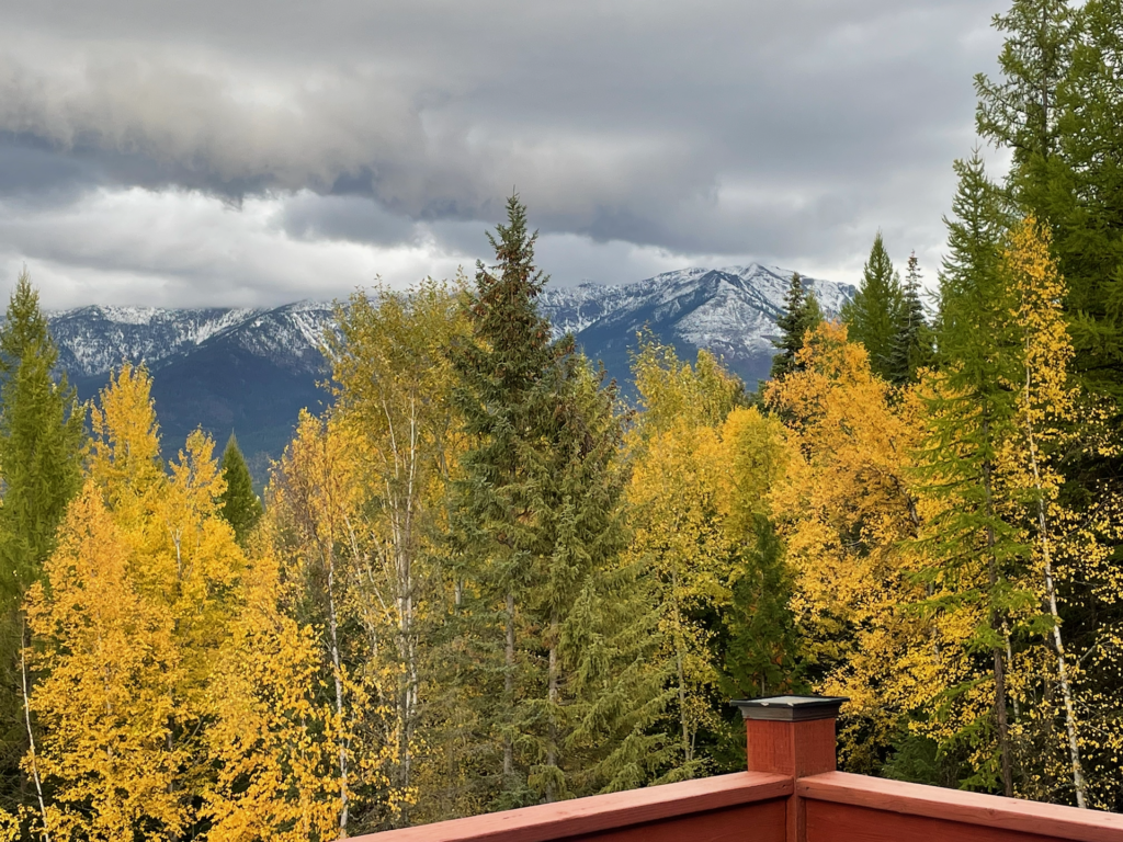 A cloudy late fall day with golden leaves and snowy peaks.