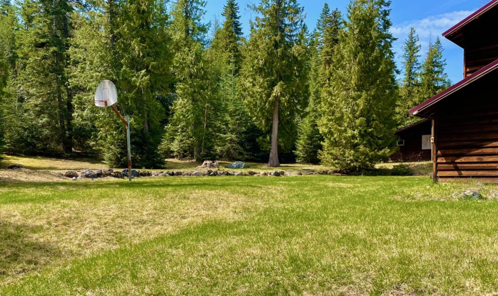 the gorgeous backyard