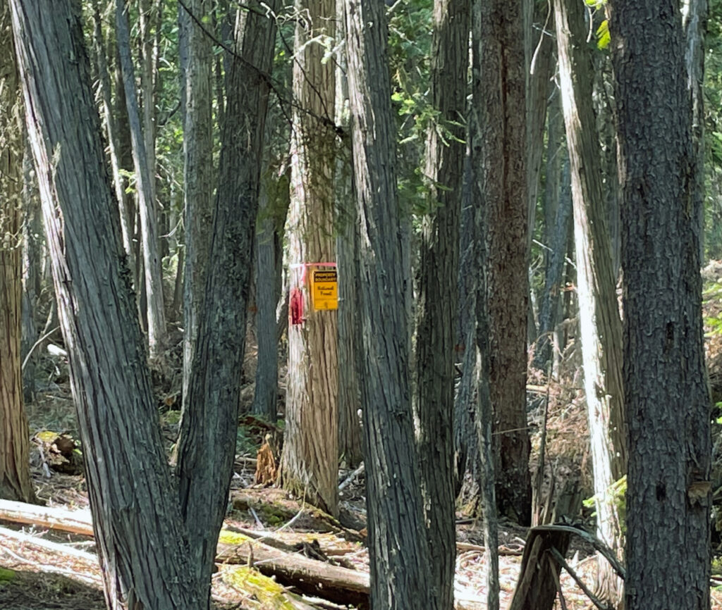 cropped forest service line