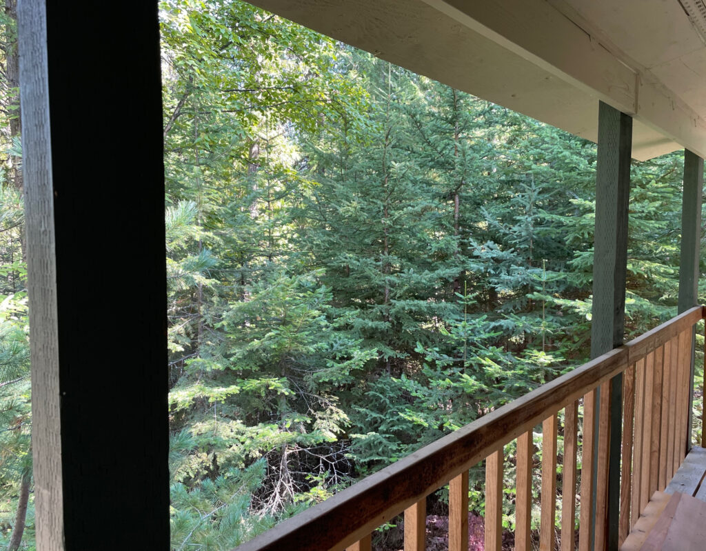 cropped view from back porch cabin8886