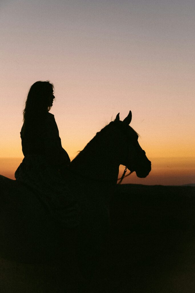 dominik mecko nx7bou1z fy unsplash
