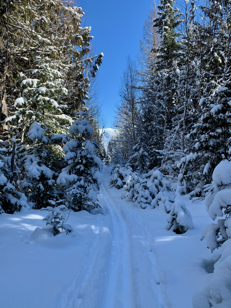 ski tracksimg 3936