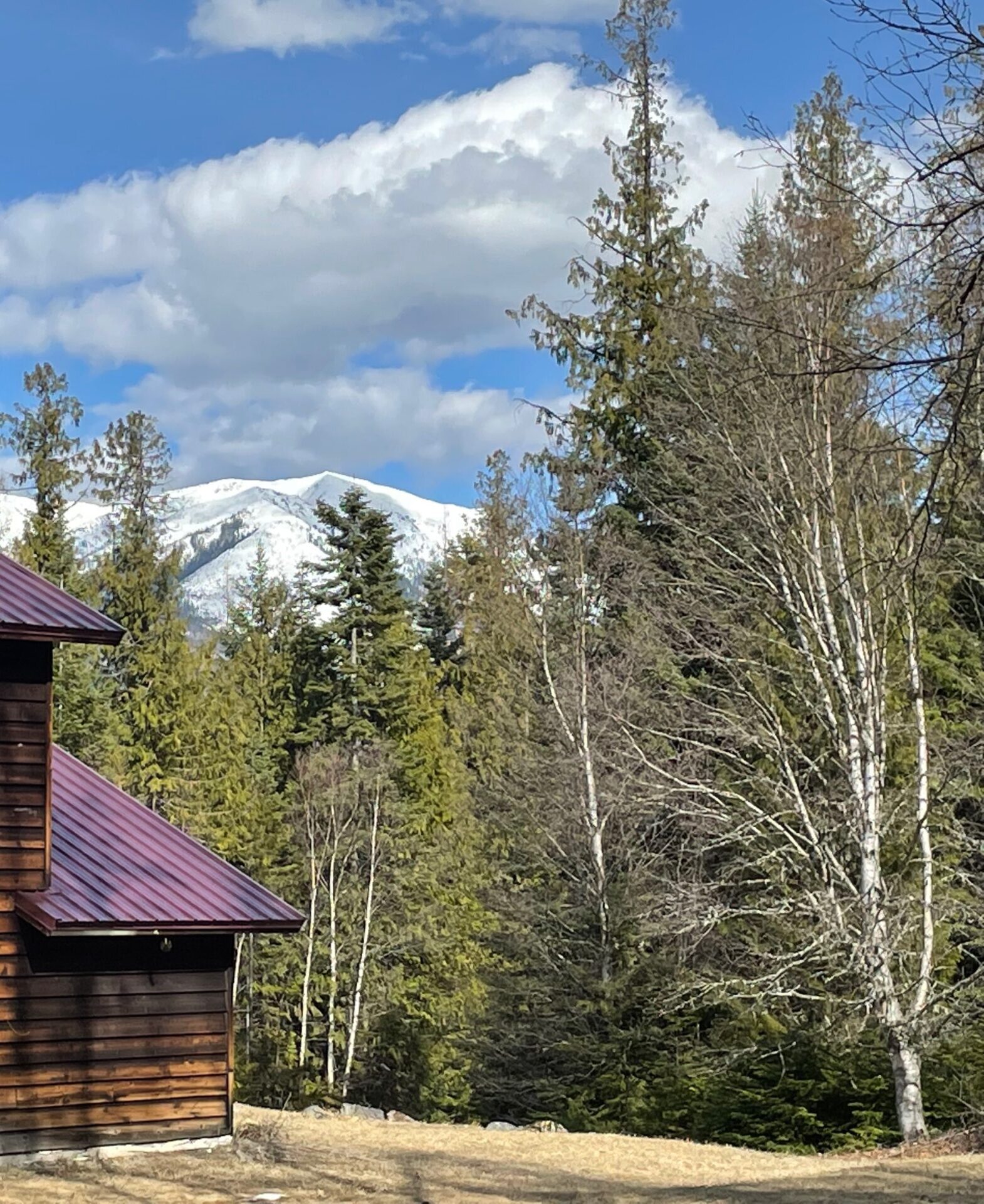 Snow covered peak on display from the back east side of the house.